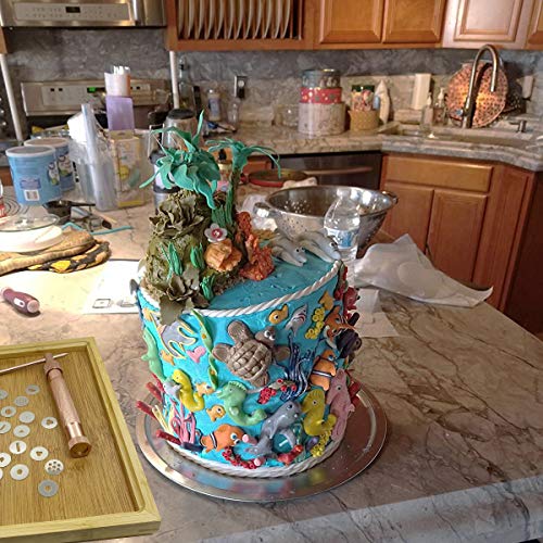 Fondant Extruder with 20 Discs, Sugar Paste Extruder,Clay Extruder, Cake Decor Tool Set - color: Champagne