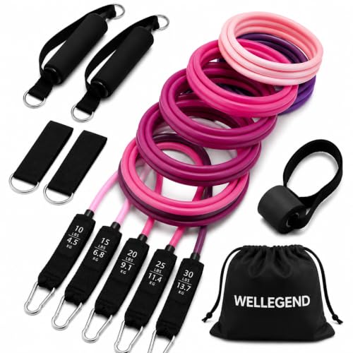 WELLEGEND Resistance Bands Set with Complete Workout Accessories