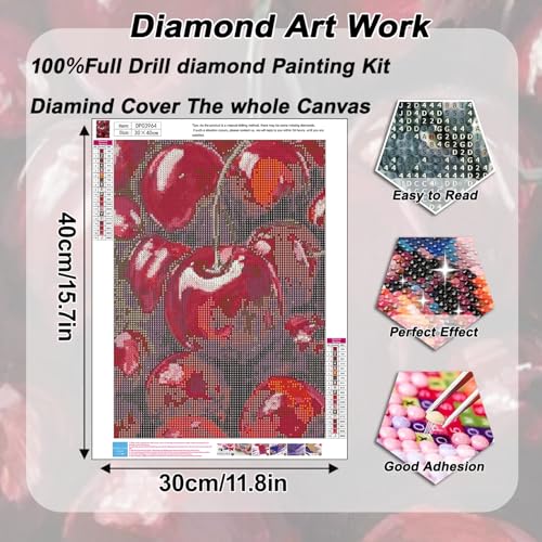 AIBOERL Diamond Art Kits for Adults,Cherry Diamond Painting Wall Decor | Round Drill Cherry Diamond Painting for Beginners DIY Rhinestone 5D Diamond dots(Gemstone Craft)Wall Art Gift 12x16IN - color: DP03964