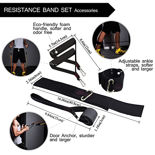 TheFitLife Resistance Bands Set with Handles, Door Anchor and Ankle Straps | Workout Bands for Muscle Strength Training, Home Gym Fitness, Full Body Exercise for Men, Women, Pilate, and Physical Therapy