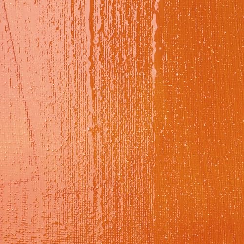 Liquitex Professional High Gloss Varnish, 1.89L (Half Gallon) Bucket | 100% Acrylic Polymer Varnish High Gloss Sheen, Protects & Resists Dirt Retention, Increases Brightness, Resists Discoloration - color: High Gloss, style: 64-oz
