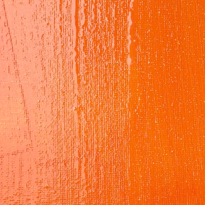 Liquitex Professional High Gloss Varnish, 237ml (8-oz) | 100% Acrylic Polymer Varnish High Gloss Sheen, Protects & Resists Dirt Retention, Increases Brightness, Resists Discoloration - color: High Gloss, style: 8-oz