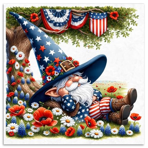 Gnome Diamond Art Kits for Adults Beginners 14x14 in, DIY Craft Gift | American Flag Diamond Painting Kits for Adults, Stress Relief, Home Wall Decor, 5D Full Round Drill Gem Art - color: DP-US17