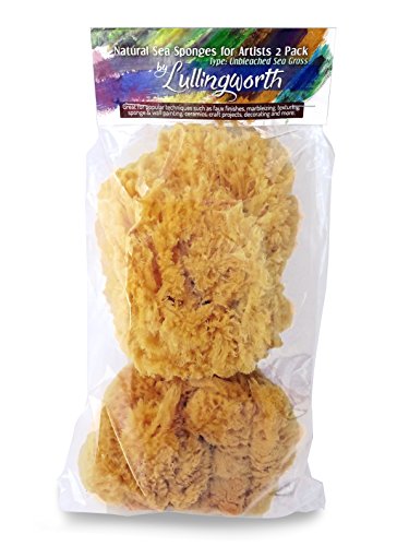 Unbleached Natural Sea Sponges for Artists 2pk, 5"-5.5", Painting & Crafts | Large 5"-5.5" sponges, faux finishes, marbling, texturing, limestone & Venetian plaster. 2pc unbleached pack for artists.