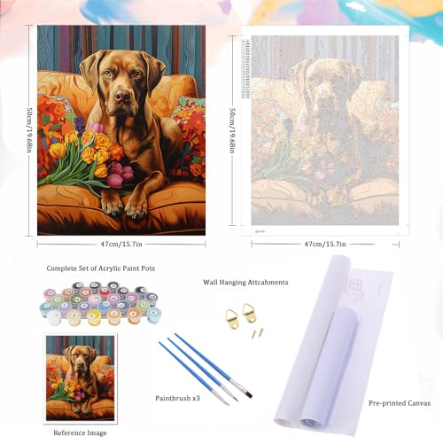Natuyalo Paint by Numbers for Adults - DIY Adult Paint by Number Kits Painting on Canvas Dog on Sofa Painting by Numbers for Beginners, Animal Art Craft Kits for Adults (16x20 Inch) - color: ART-02