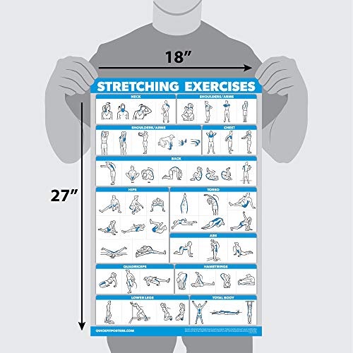 QuickFit Bodyweight Workouts and Stretching Exercise Poster Set – Laminated 2 Chart Set – Body Weight Exercise Routine & Stretching Workouts (18" x 24")