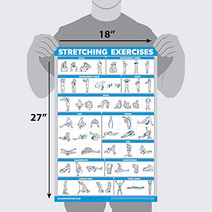 QuickFit Bodyweight Workouts and Stretching Exercise Poster Set – Laminated 2 Chart Set – Body Weight Exercise Routine & Stretching Workouts (18" x 24")