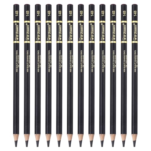 PATIKIL 12Pcs Drawing Pencils for Sketching, 14B Refill Sketch Pencils for Drawing, Graphite Art Pencil Set Professional Resistant Lead for Painting Shading Artist Office Supplies - size: 14B
