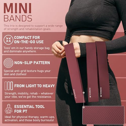 PhysKcal Pilates Kit, 15-Inch Pilates Ring with 1x Pilates Ball & 5X Bands | Aesthetic Home Pilates Equipment Set, Essential Kit for Beginners in Minimalist Style. Comes in Premium Packaging - color: Plum