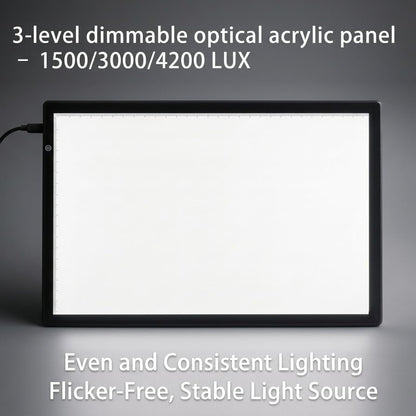 BEONEGLOBAL Letter Size 16.9" × 12.2" A3 Ultra-Thin Light Box for Slide Viewing, LED Copy Board Film Negative Scanning, and Artist Tracing, with 3 Adjustable Bright
