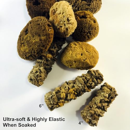 Natural Sea Sponge for Painting, 6" Texture Paint Decorative Roller | Natural Sea Sponge, Texture Paint Roller, Vivid Wall Texture, Ideal for DIY & Professional Decorative Ceiling & Wall Painting - style: XG-3880