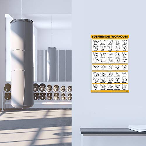 10 Pack - Exercise Workout Poster Set - Dumbbell, Suspension, Kettlebell, Resistance Bands, Stretching, Bodyweight, Barbell, Yoga Poses, Exercise Ball, Muscular System Chart (LAMINATED,18" x 24")