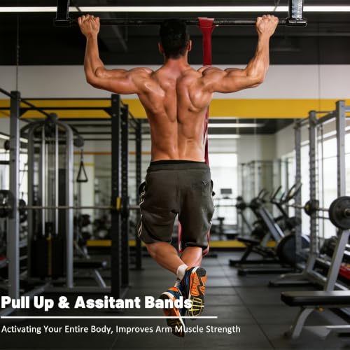 Pull Up Bands, Resistance Bands, Exercise Bands for Full-Body Training