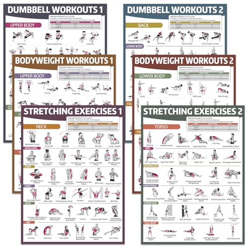 gisgfim 6PCS Workout Posters for Home Gym Dumbbell Bodyweight Stretching Workout Exercise Chart - color: Retro