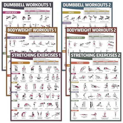 gisgfim 6PCS Workout Posters for Home Gym Dumbbell Bodyweight Stretching Workout Exercise Chart - color: Retro