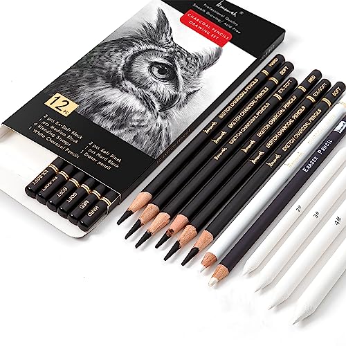 Brusarth Charcoal Drawing Set, 12 pcs Black charcoal pencils | White Charcoal Pencils, Eraser Pencils, Blending Stumps for Drawing, Sketching, Shading, Artist Pencils for Beginners - color: Black
