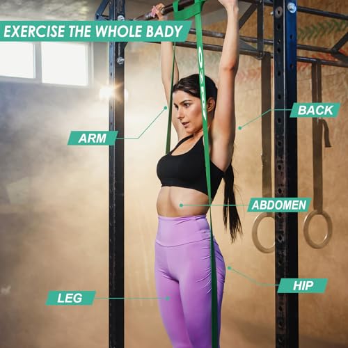 Pull Up Bands, Resistance Bands, Pull Up Assistance Bands Set for Men & Women, Exercise Workout Bands for Working Out, Body Stretching, Physical Therapy, Muscle Training