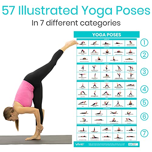 Vive 3 Pack Workout Posters for Home Gym - Yoga Poses, Stretching Exercises