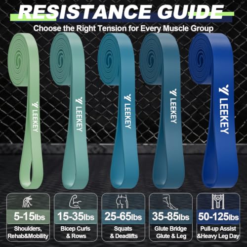 Resistance Bands for Pull Up Assist, Stretch Bands & Exercise Workout Set - color: 5-125LBS DARK BLUE