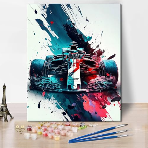 TUMOVO Racing Car Acrylic Paint by Numbers Kit for Adults Beginner | 16x20inch unframed racing pre-numbered canvas kit with paints and brushes DIY car oil painting kit acrylic pigment craft - color: F Car
