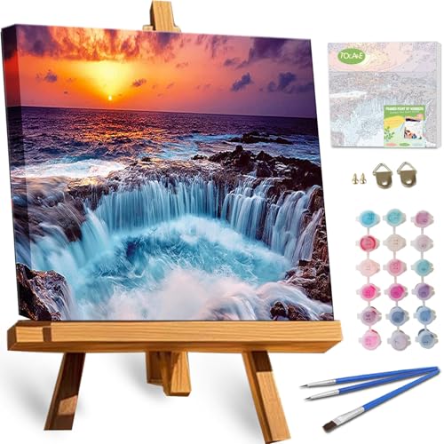TOCARE Framed Paint by Numbers Kit for Adults Beginners, 12x12inch Niagara Falls Paint by Number with Frame,Easy Nature Waterfalls Paint by Numbers Framed Canvas (Without Easel) - color: TC-F-220