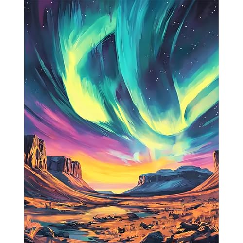 Paint by Numbers Kit for Adults, Aurora DIY Painting Kit, 16x20 Inch | Night Sky Paint by Numbers for Adults Beginners, Without Frame, Relaxing Hobby, Scenic Wall Art, Home Decor, Creative Gift - color: CYOP1P12
