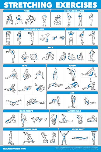 Palace Learning 3 Pack - Warm Up Exercises + Stretching Exercises + Yoga Workouts - Set of 3 Workout Charts (LAMINATED, 18” x 24”)