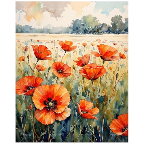 Floral Paint by Numbers Kit for Adults - DIY Orange Poppies in Sunny Field Painting on Canvas, Acrylic Paint Set, Suitable for Beginners, Garden Art for Home Decoration or Gifts(16X20IN Framed) - color: HSX01080, size: 16X20IN Framed