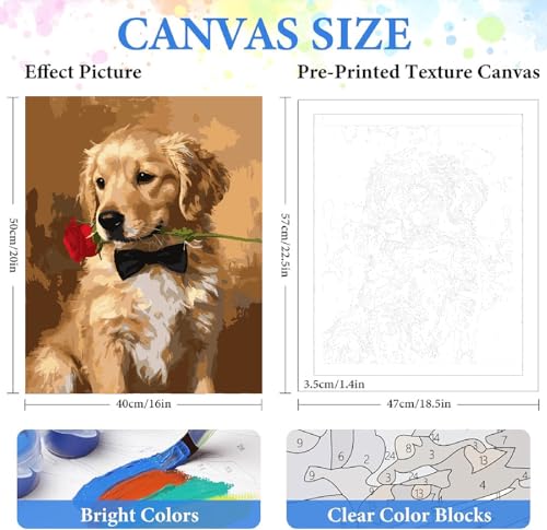 ZRIZQ Paint by Numbers Kit for Adults Beginner Animal,Dogs,16x20 | Full set with wooden brushes,rolled canvas,rich paints.Calming activity.Beginner friendly.Just open and paint. - color: 16"X20"Rolled Canvas(Frameless)-Dog 2