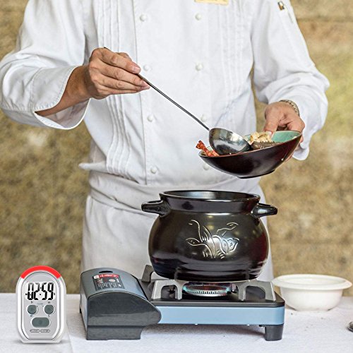 x-wlang 3-in-1 Alerts timer 1013 with vibration ,beep and flash.(kitchen timer ,medical timer,therapeutic timer), silver