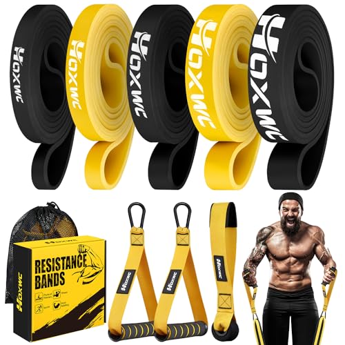 HOXWC Resistance Bands, Heavy Duty Pull Up Resistance Band with Door Anchor, Handles, Exercise Bands for Working Out Men&Women, Ideal for Pull Up, Muscle Training, Physical Therapy, and Home Workouts