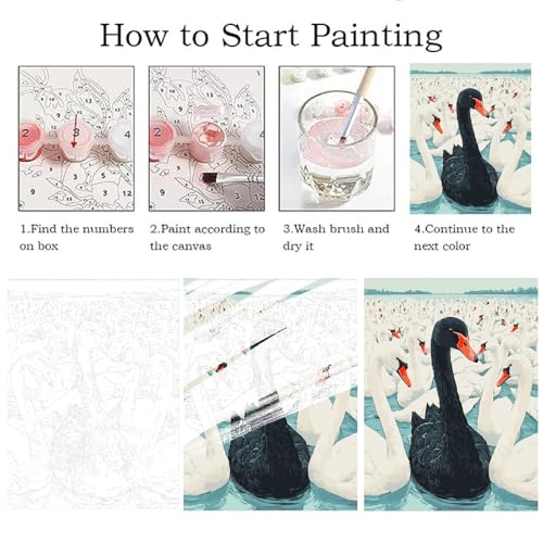 ZRIZQ Paint by Numbers Kit for Adults Beginner Swan,Animal,16x20 | Full set with wooden brushes,rolled canvas,rich paints.Calming activity.Beginner friendly.Just open and paint. - color: 16"X20"Rolled Canvas(Frameless)-Black Swan