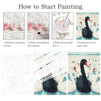 ZRIZQ Paint by Numbers Kit for Adults Beginner Swan,Animal,16x20 | Full set with wooden brushes,rolled canvas,rich paints.Calming activity.Beginner friendly.Just open and paint. - color: 16"X20"Rolled Canvas(Frameless)-Black Swan