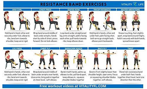 Vitality 4 Life with Curtis Adams Senior Resistance Band: 가벼운 저항, 더 긴 길이 + 지침 가이드(한글이 아닐 수 있음). 라텍스 프리. 운동, 스트레칭, 물리 치료