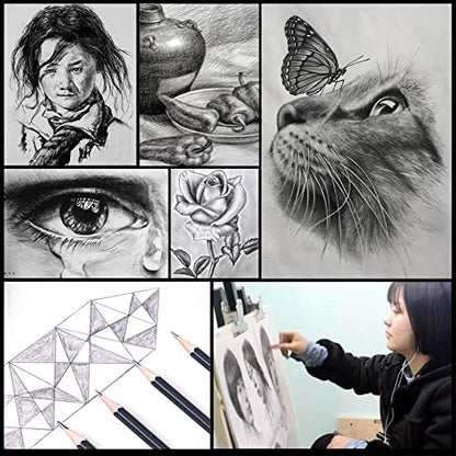 Heshengping 31 Drawing Sketching Pencils Kit, Portable Artist Supples Travel Case Set has Graphite, Charcoal, white color pencil, Blending Stump, gift for Adults Beginners for Drawing Sketch