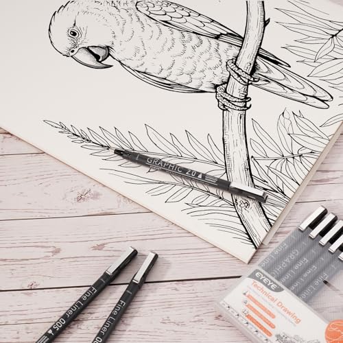 EYEYE Micro Fineliner Pens, Black Drawing Art Pens,12 Archival Pen Waterproof Ink Set Artist Supplies Archival Inking Markers Sketch Outline Pen, Precision Drawing and Sketching Kit - size: 12 Pack