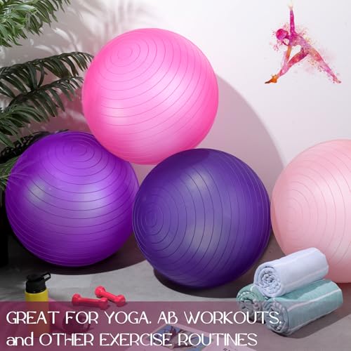 Leyndo 4 Pcs 26 Inch Yoga Exercise Ball Pilates - color: Vivid Color