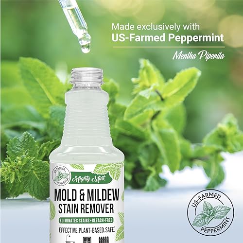 Mighty Mint Mold & Mildew Stain Remover Spray, Rapid Clean for Bathroom, Kitchen, Hard Water, Outdoors, Natural Peppermint Scent, 16oz