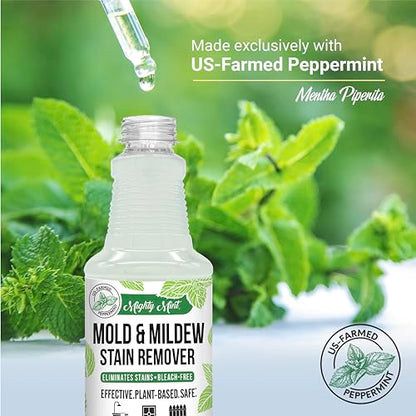 Mighty Mint Mold & Mildew Stain Remover Spray, Rapid Clean for Bathroom, Kitchen, Hard Water, Outdoors, Natural Peppermint Scent, 16oz