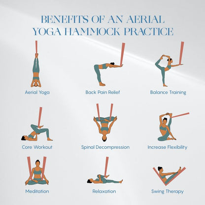Aerial Yoga Hammock Swing, 4.5 Yards, Aerial Silks with Hardware - color: Royal-Purple, size: 5.5 yards