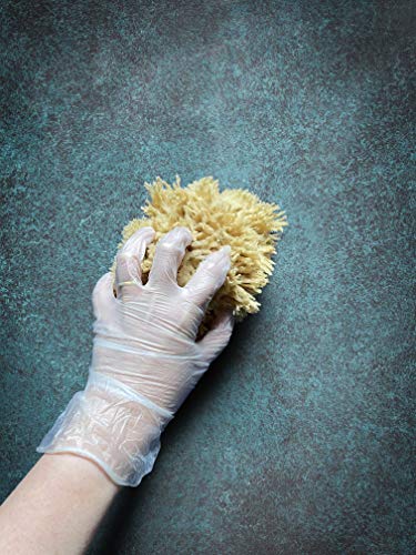 Sea Wool Art Sponge, Professional 5"-6" Unbleached, Faux Finish & Limestone | Premium grade sea wool, 5"-6". Varied pores for natural texturing. Limestone, Venetian plaster, marbling & faux finishes.