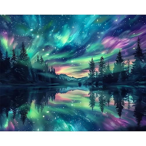 Hutarosl Paint by Numbers for Adults-Aurora Paint by Number Canvas for Adults,Starry Sky Paint by Number Adult,Aurora DIY Oil Painting Kits for Gifts Home Decor 16x20in - color: Aurora, size: 1 Pack - 16x20 inches