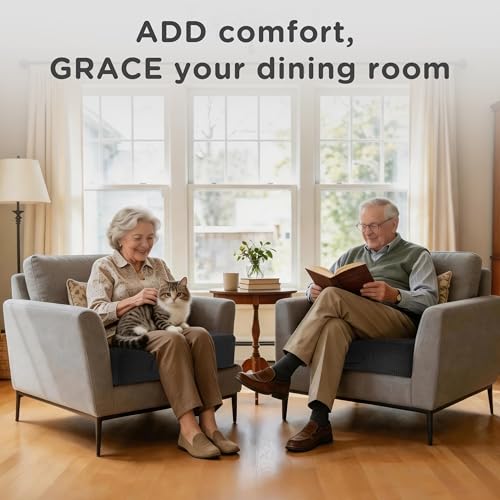 AddGrace High Density Recliner Cushion for Elderly 20x20in Black - color: Black