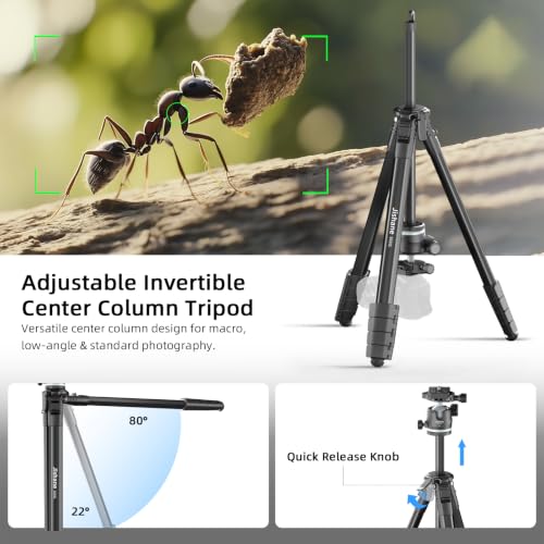 72" Travel Tripod for Camera and Phone, Lightweight Aluminum Tripod with Arca Ball Head, Phone Holder, Quick-Release Plate, Wireless Remote & Carry Bag for DSLR Smartphone Video Recording