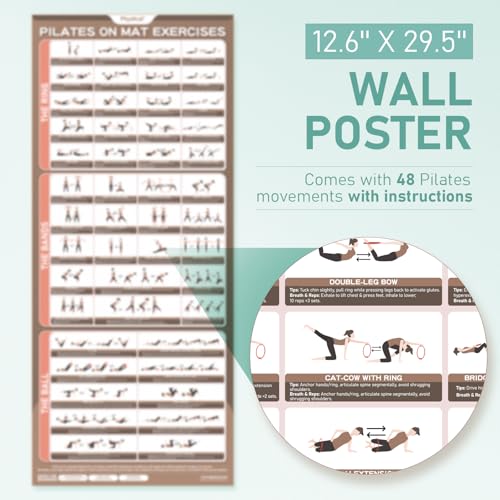 PhysKcal Pilates Kit, 15-Inch Pilates Ring with 1x Pilates Ball & 5X Bands | Aesthetic Home Pilates Equipment Set, Essential Kit for Beginners in Minimalist Style. Comes in Premium Packaging - color: Mint