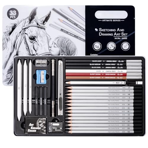 Drawing Sketching Pencil Set, 33 PCS Graphite and Charcoal Pencils with Blending Stumps, Erasers, Art Knife & Pencil Extender in Metal Box, Artist Sketching Supplies for Drawing & Shading - style: 33 Pcs