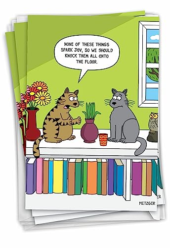 NobleWorks Pack of 3 Funny Birthday Greeting Cards with Envelopes (1 Designs, 3 Each) Cat Spark Joy C7297BDG-C3x1 - style: Cat Spark Joy
