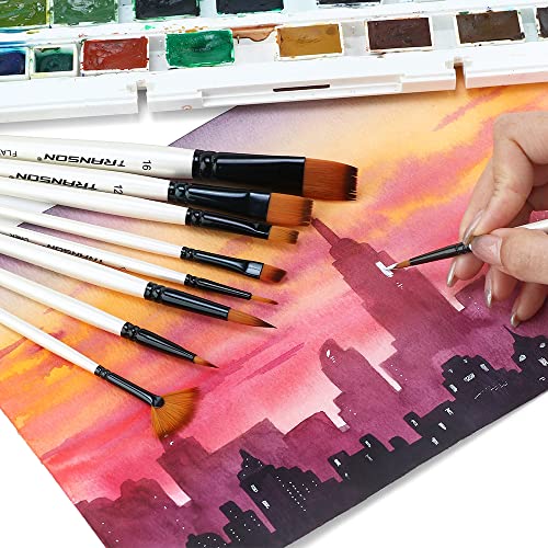 Transon Paint Brush Kit 10pcs Art Brushes and 1 Paint Spatula with Brush Case - color: White