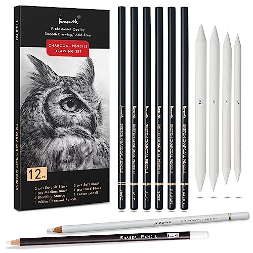 Brusarth Charcoal Drawing Set, 12 pcs Black charcoal pencils | White Charcoal Pencils, Eraser Pencils, Blending Stumps for Drawing, Sketching, Shading, Artist Pencils for Beginners - color: Black
