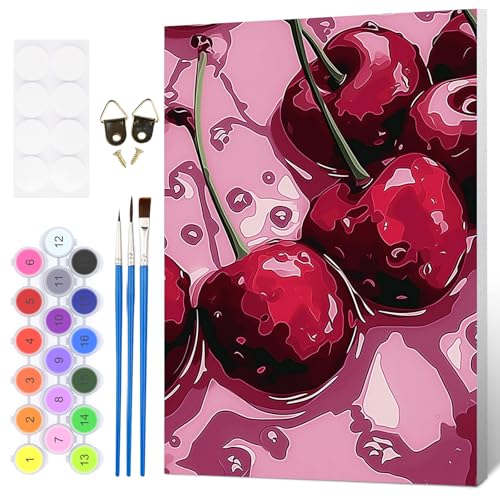 HEIBAGO Framed Paint by Numbers Kit Cherry for Adults, Paint by Numbers for Adults Beginner, Adult Paint by Number Kits on Canvas, DIY Painting by Numbers for Gift Home Wall Decor 8 x 12 Inch - color: Cherry
